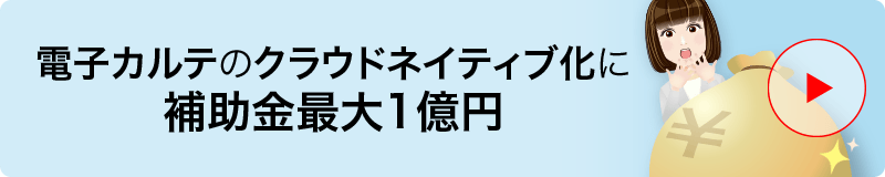 電子カルテのクラウドネイティブ化に補助金 最大1億円